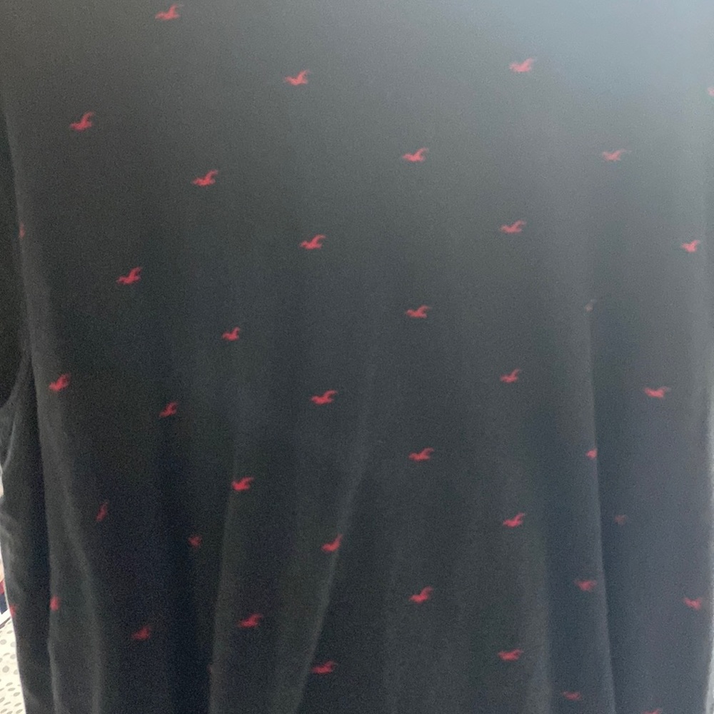 Hollister must-have T-shirt collection